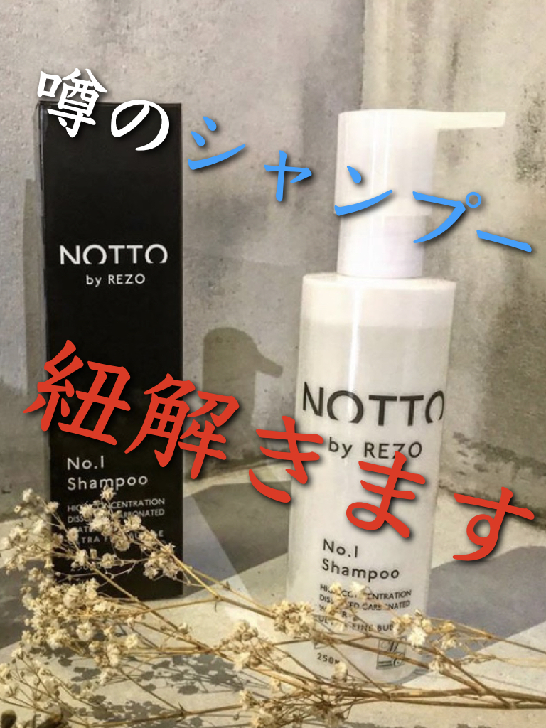 シャンプーだけで髪がツルツルに 話題の Notto シャンプー 株式会社babel 美容室 理容室 ネイル 各種事業運営 大阪